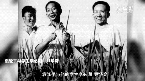 袁隆平：让所有人远离饥饿