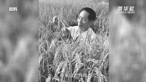 袁隆平：让所有人远离饥饿